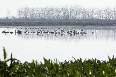 Selke Soumehsara Wildlife Sanctuary