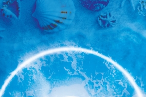 معرفی ظرفیت های استان گیلان